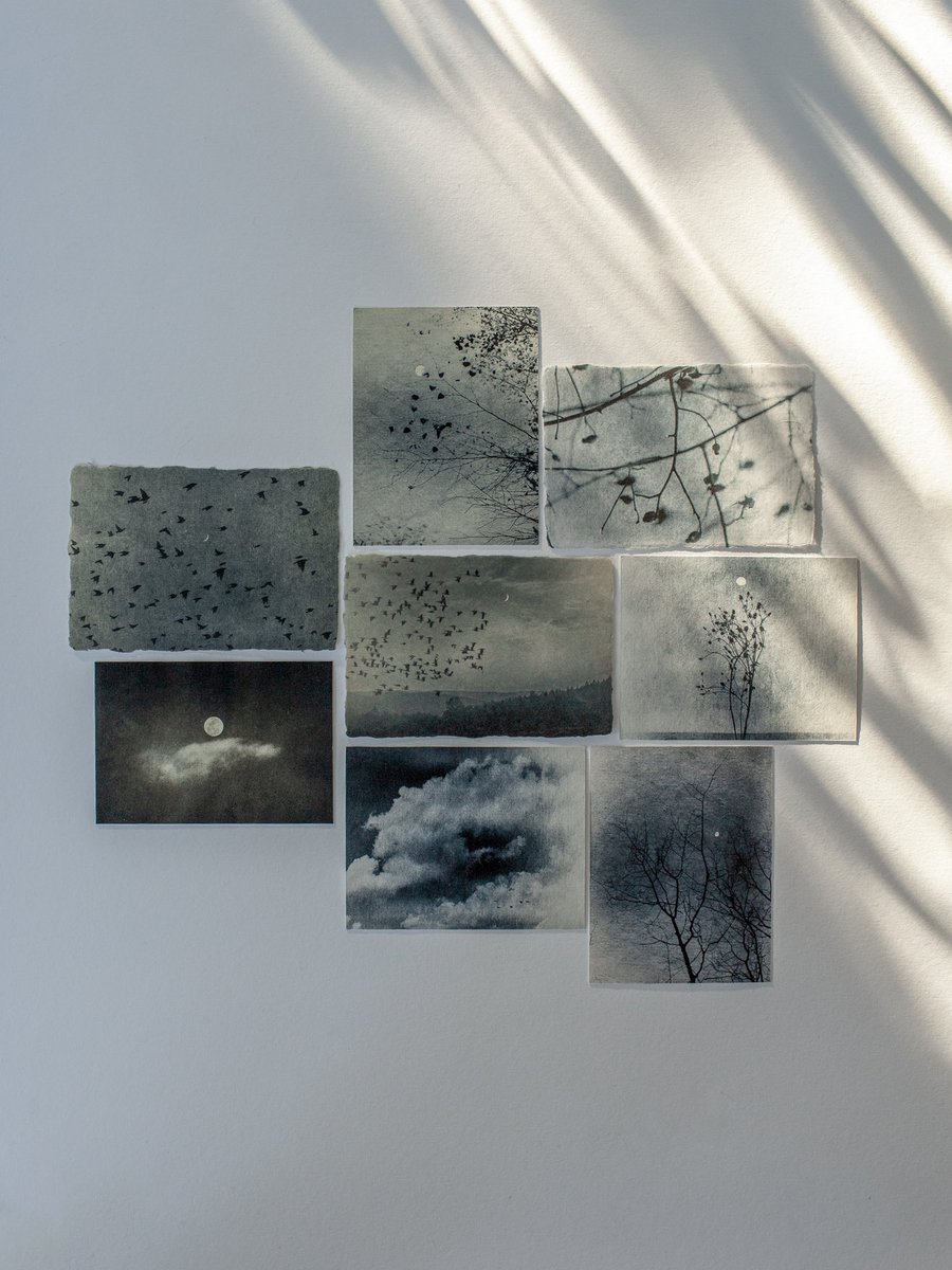 Laura Makabresku tweet media