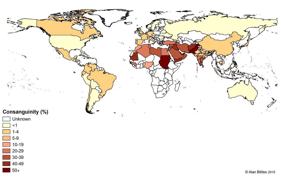 Lucius Domitius Aurelianus tweet media