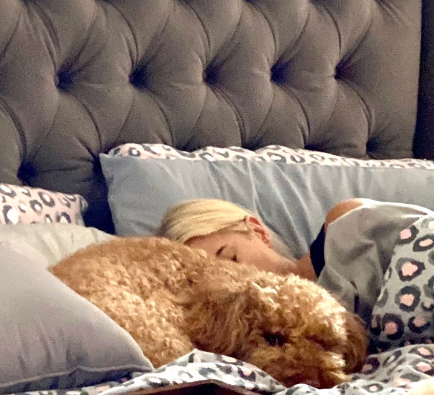 Amy Andrews Fox 2 tweet media