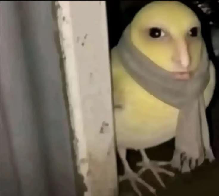 danoneneko's tweet photo. @rafasweetener E eu que soltei um "ve se cresce markelly" no meio de uma conversa com adultas que assistem história de ia de frutinha e ficaram me olhando assim: https://t.co/173WXrE3BV
