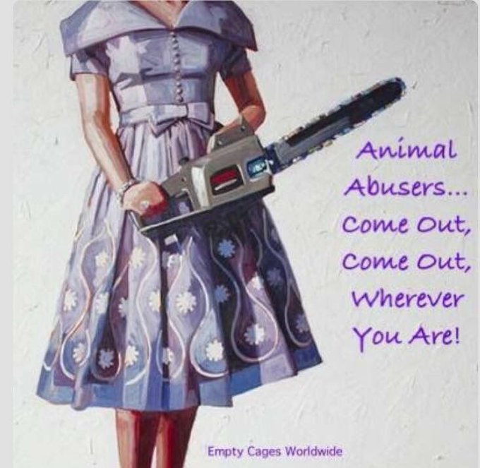 SovranistaSempre tweet media