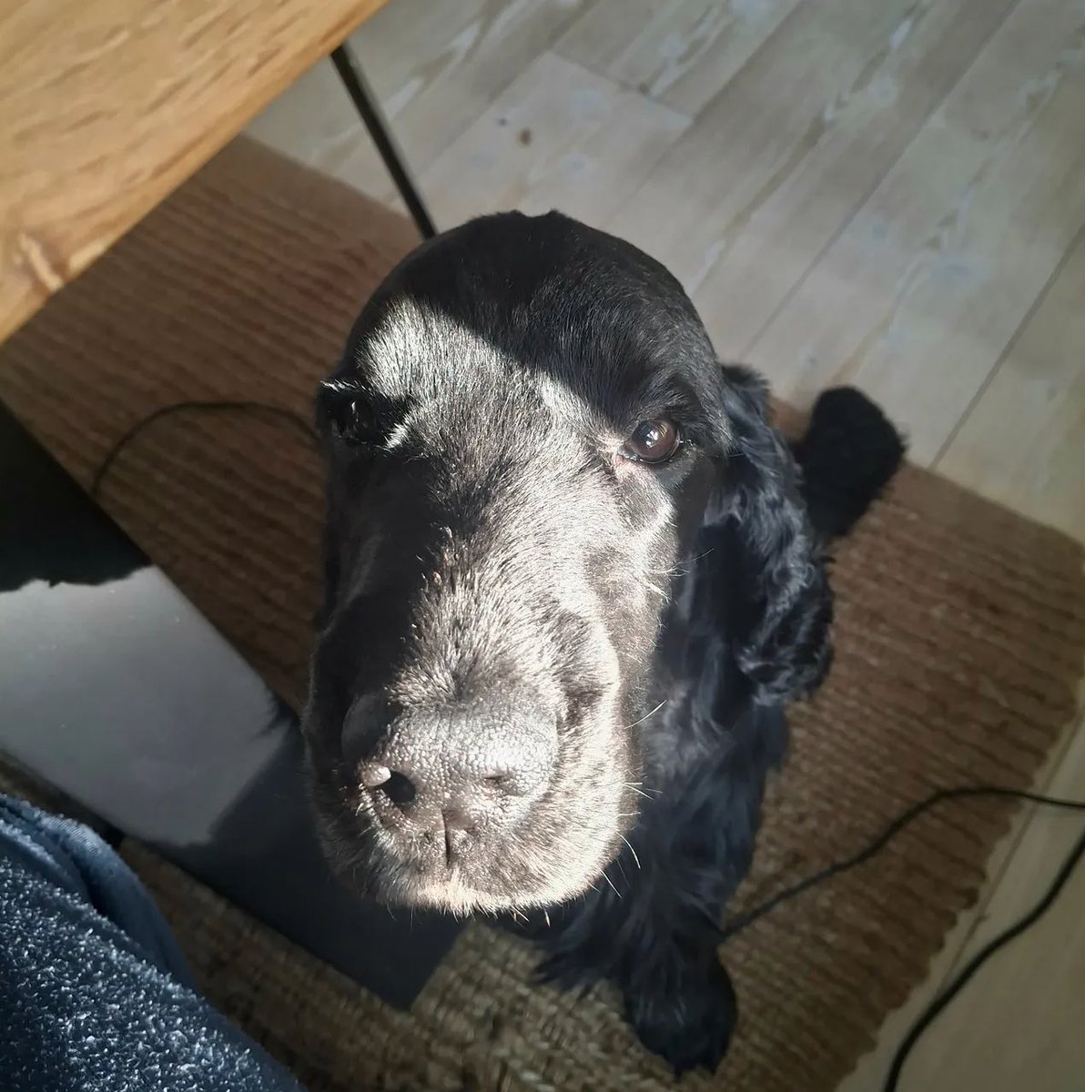 shay᭡.ִֶָ𓂃 tweet media