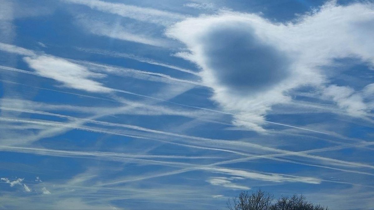 Mathias Schmidt tweet media