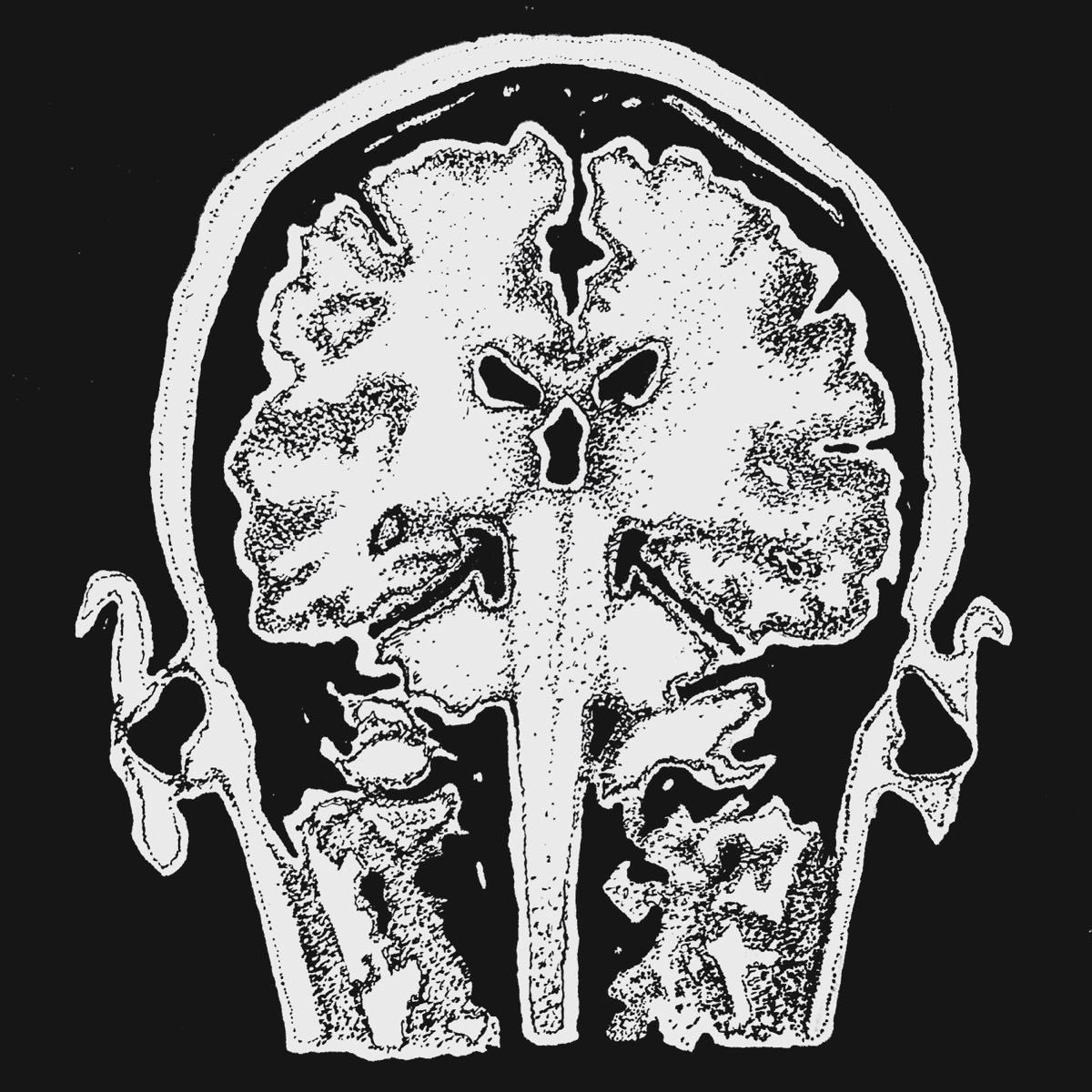 Magnolia tweet media