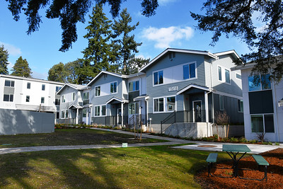 Amy Farrier tweet media