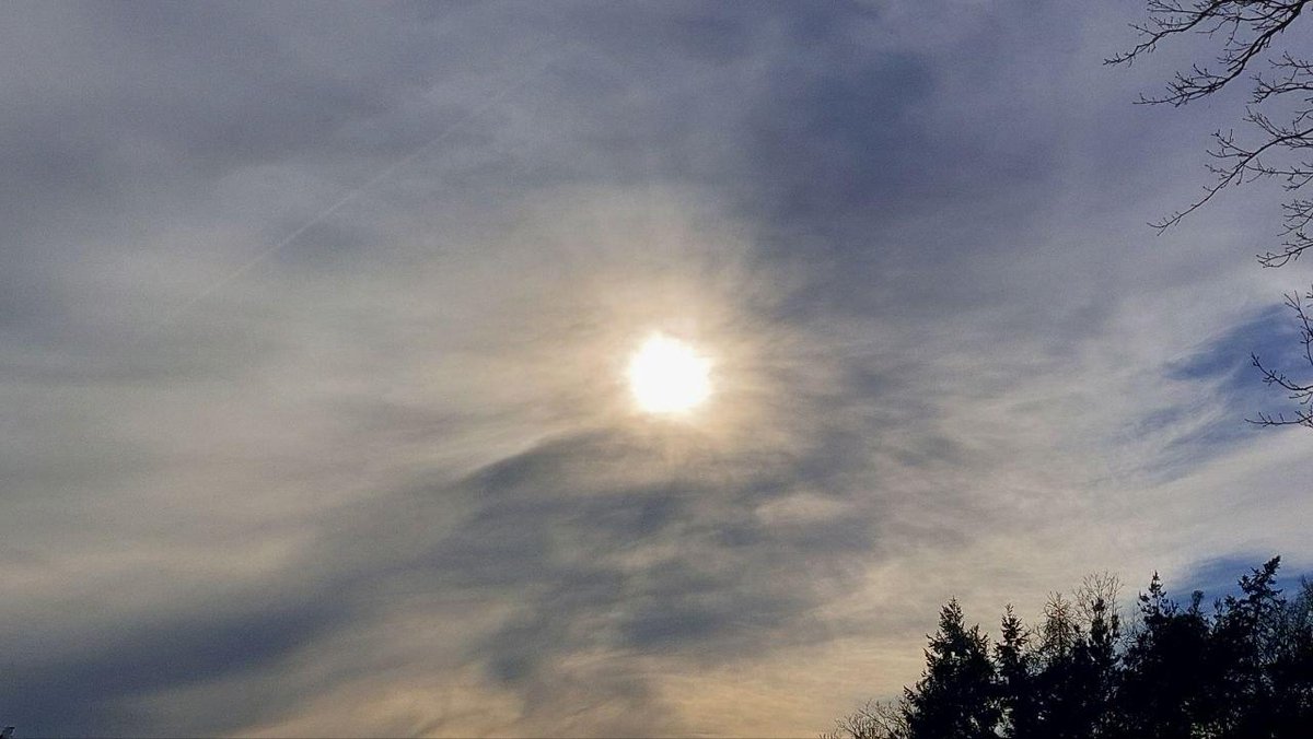 Mathias Schmidt tweet media