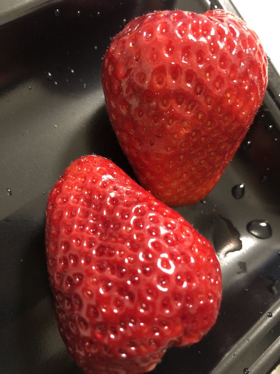 遠野旭⁞境界生物記録研究所日本支部観測担当者 tweet media