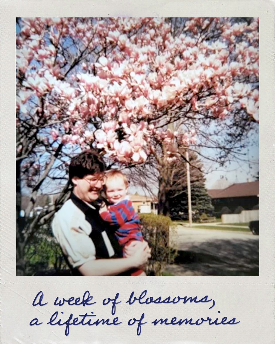 Arbor Day Foundation tweet media