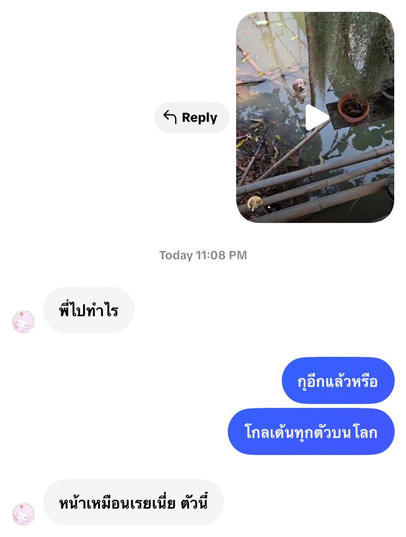 ปวยเล้ง tweet media