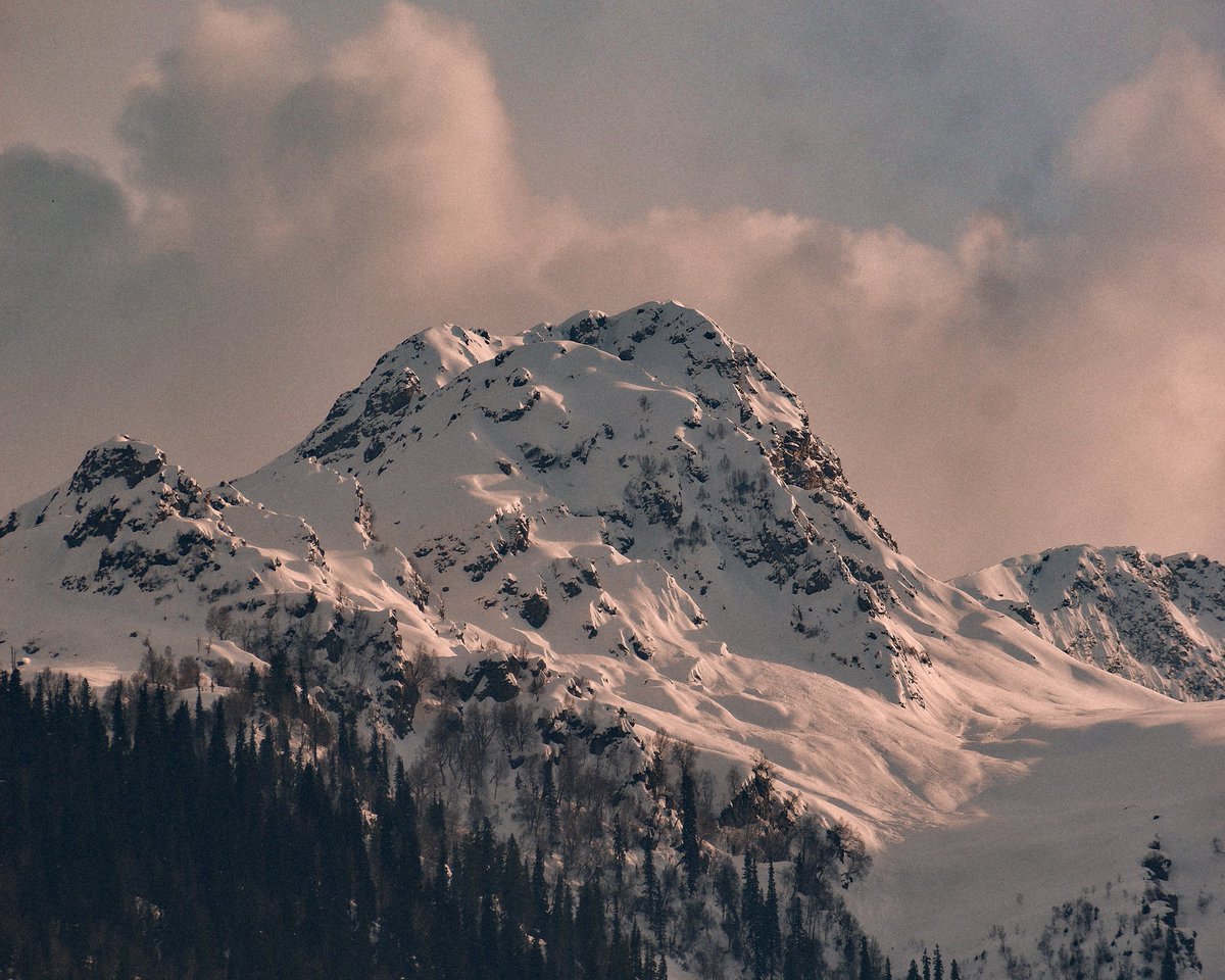 Mir Auqib tweet media