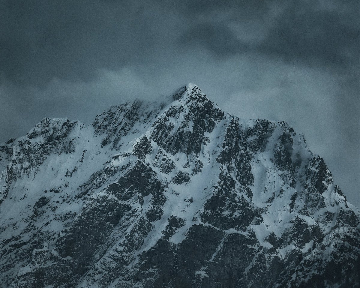 Mir Auqib tweet media