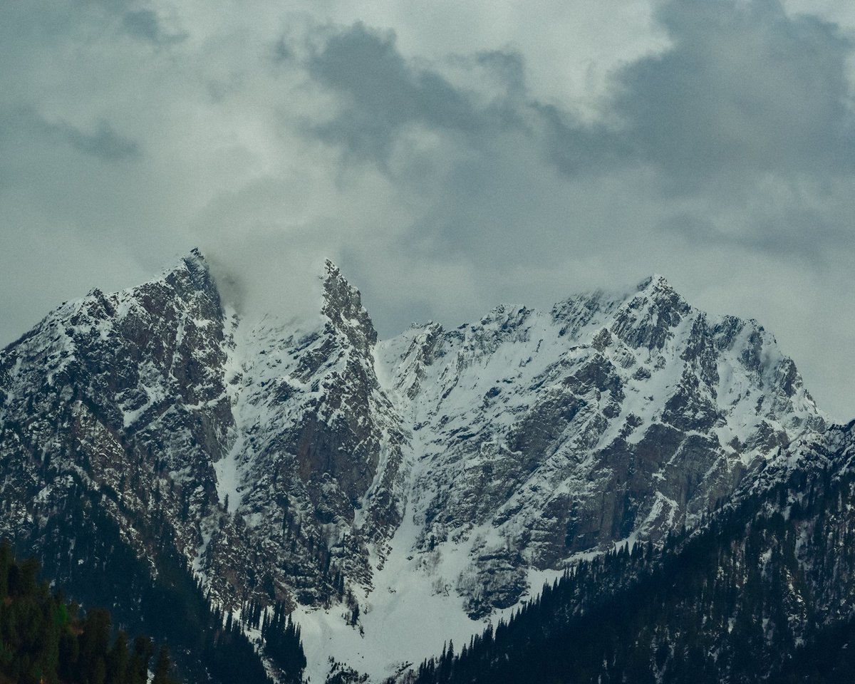 Mir Auqib tweet media