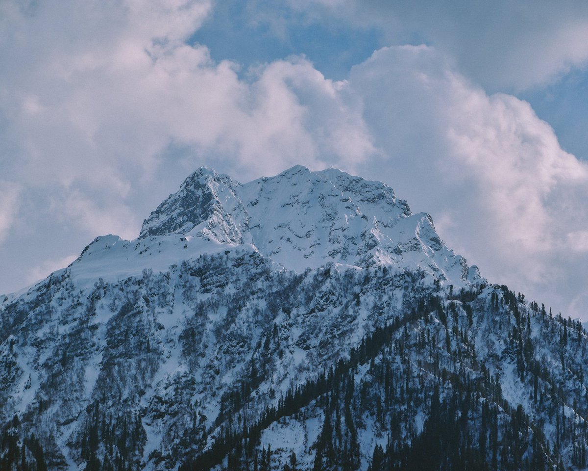 Mir Auqib tweet media