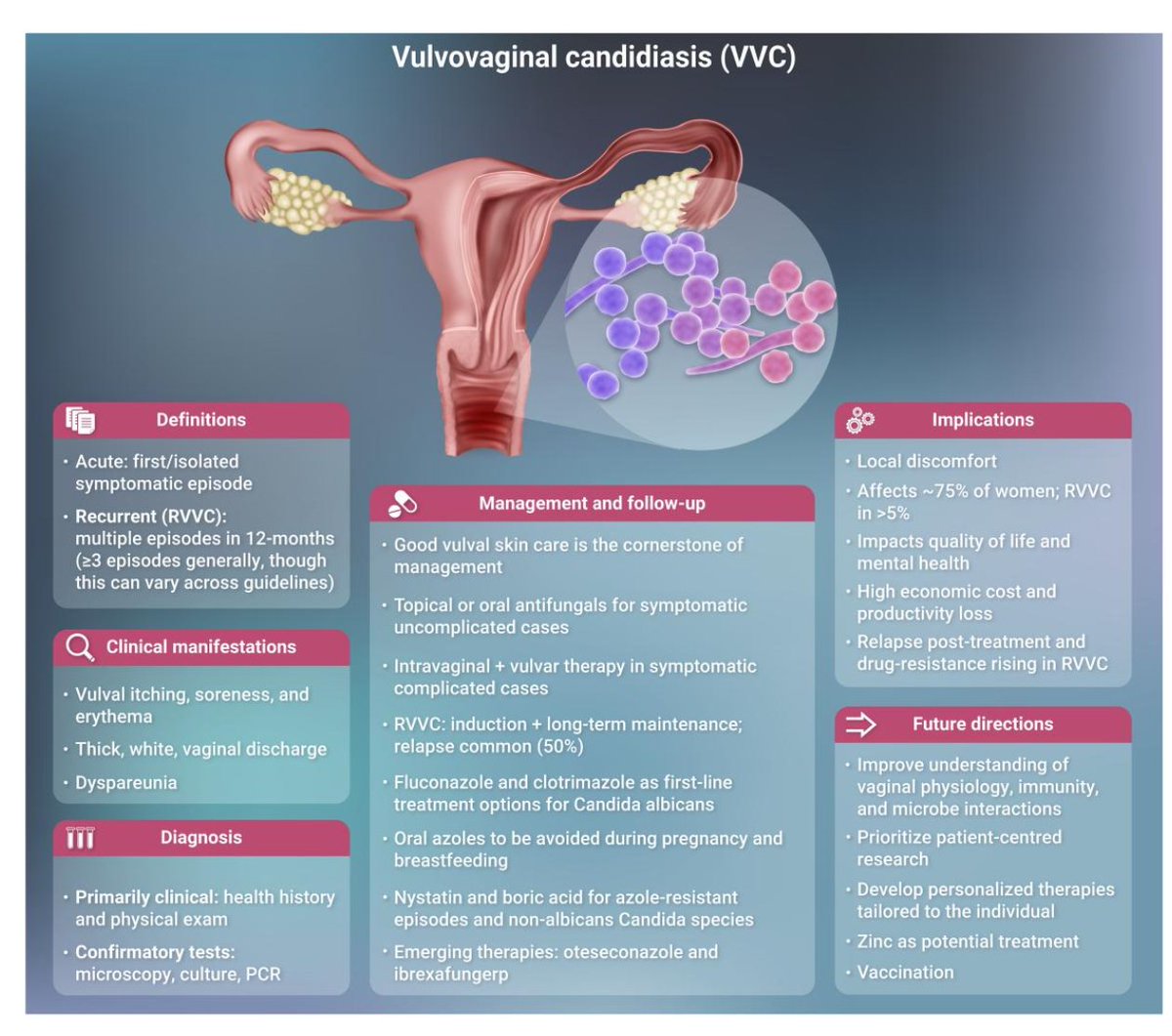 Oliverio tweet media