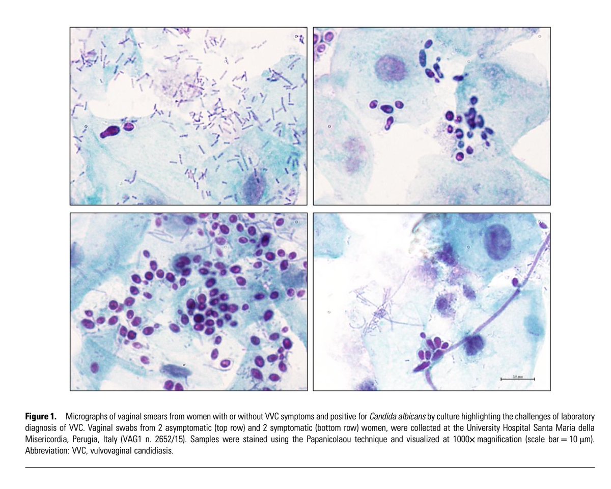 Oliverio tweet media