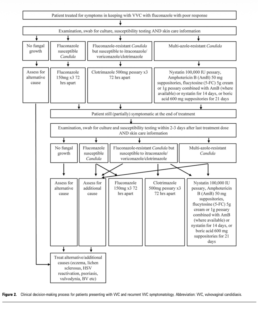 Oliverio tweet media