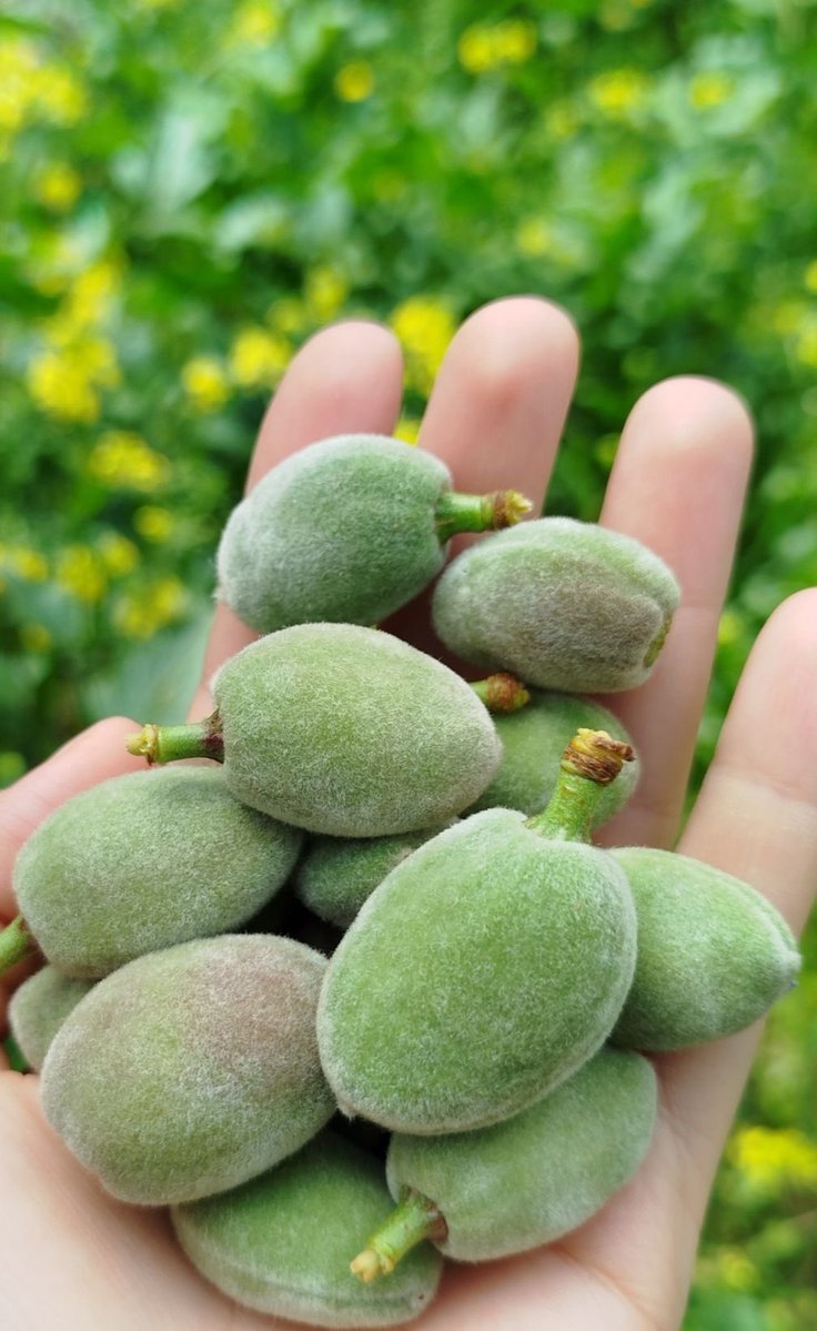 سْ𓍼ོ tweet media