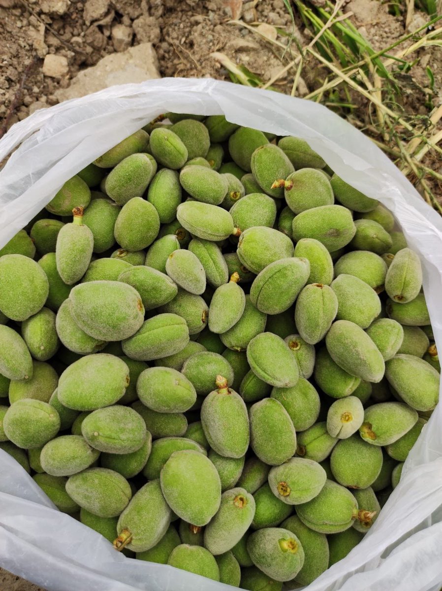 سْ𓍼ོ tweet media