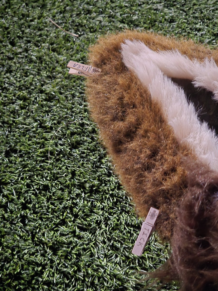 chat shepherd tweet media