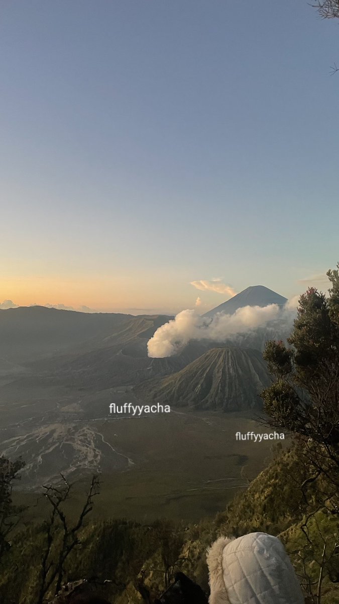 goodgirl tweet media