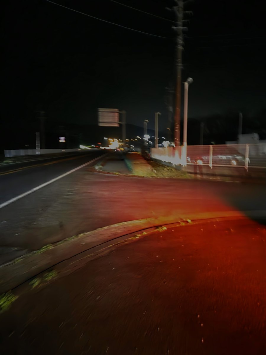 もちこ🎖️🦔 tweet media