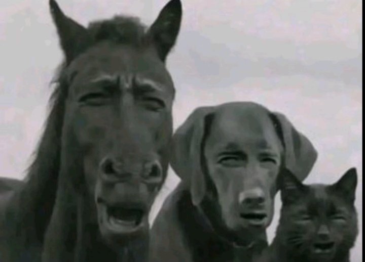 Kr🅰️nk tweet media