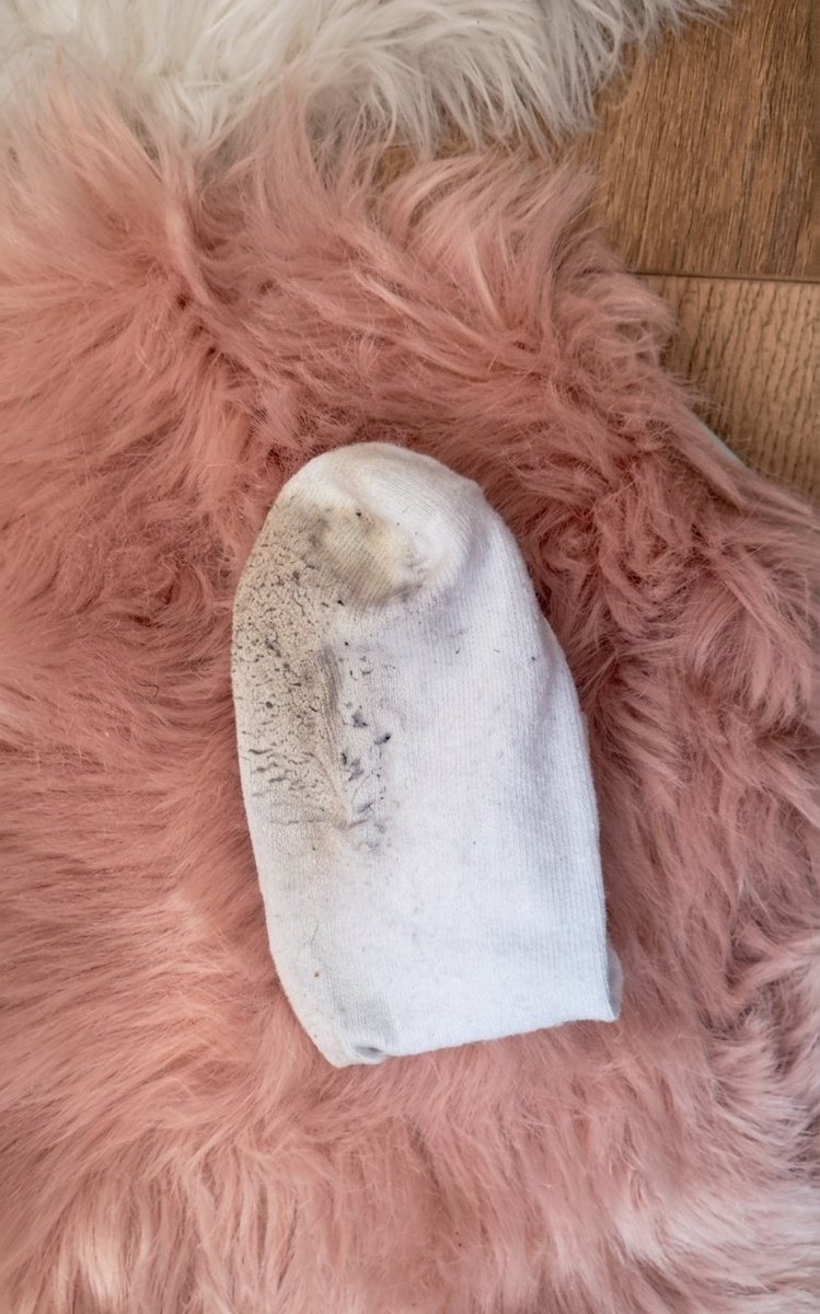 Spider Goddess ✨️🌸🕷🕸 tweet media