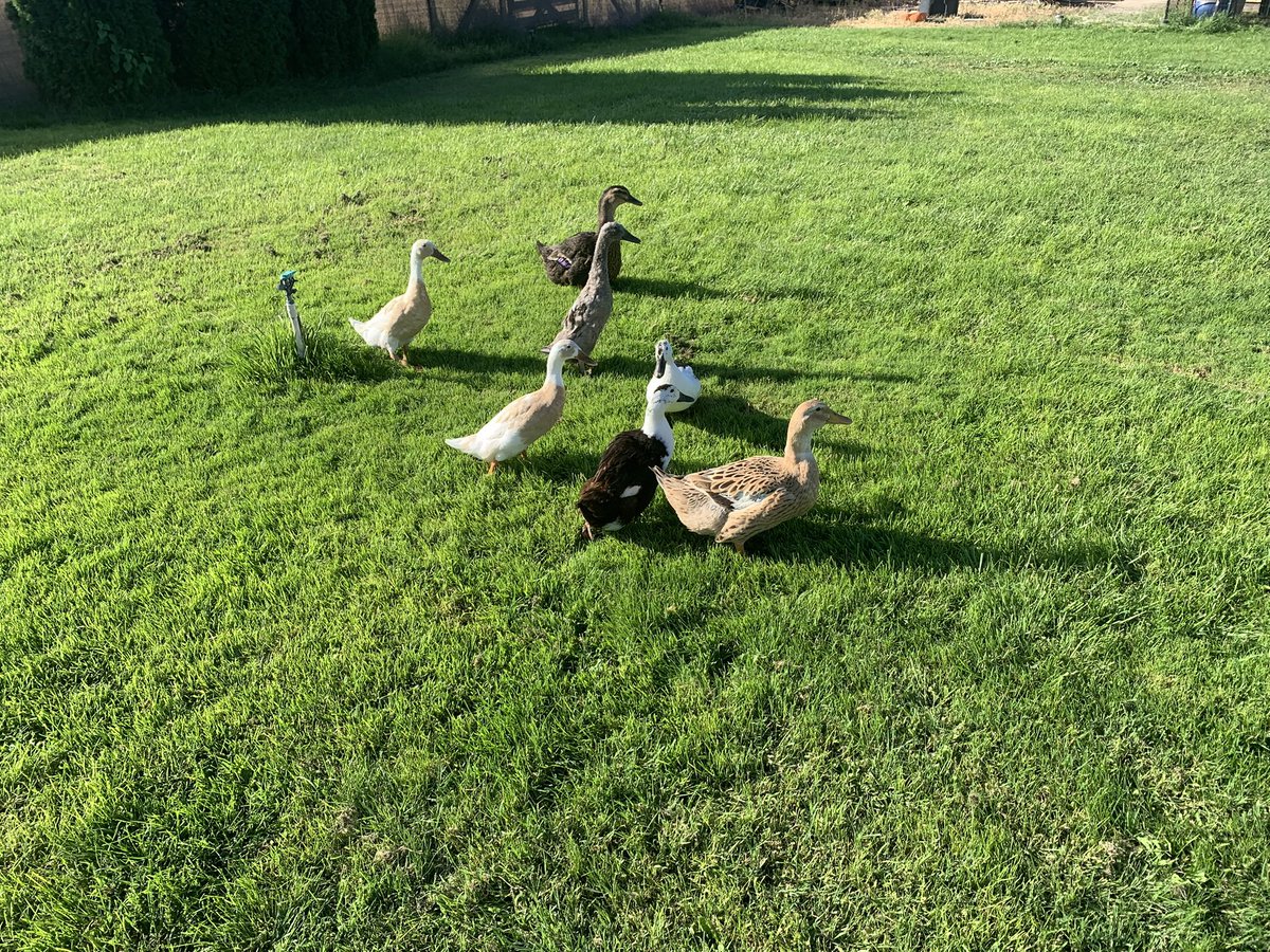 WhatsNot2Love 🇺🇸🚴🎣🚲🏎🏋 tweet media