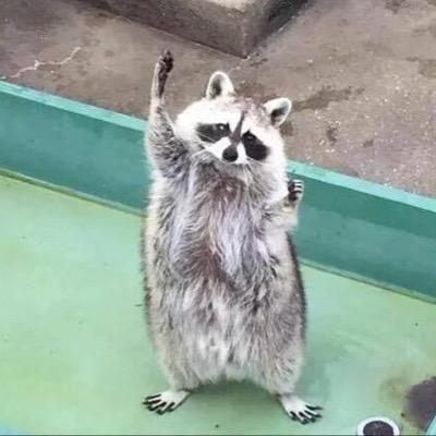 김돌풍 tweet media