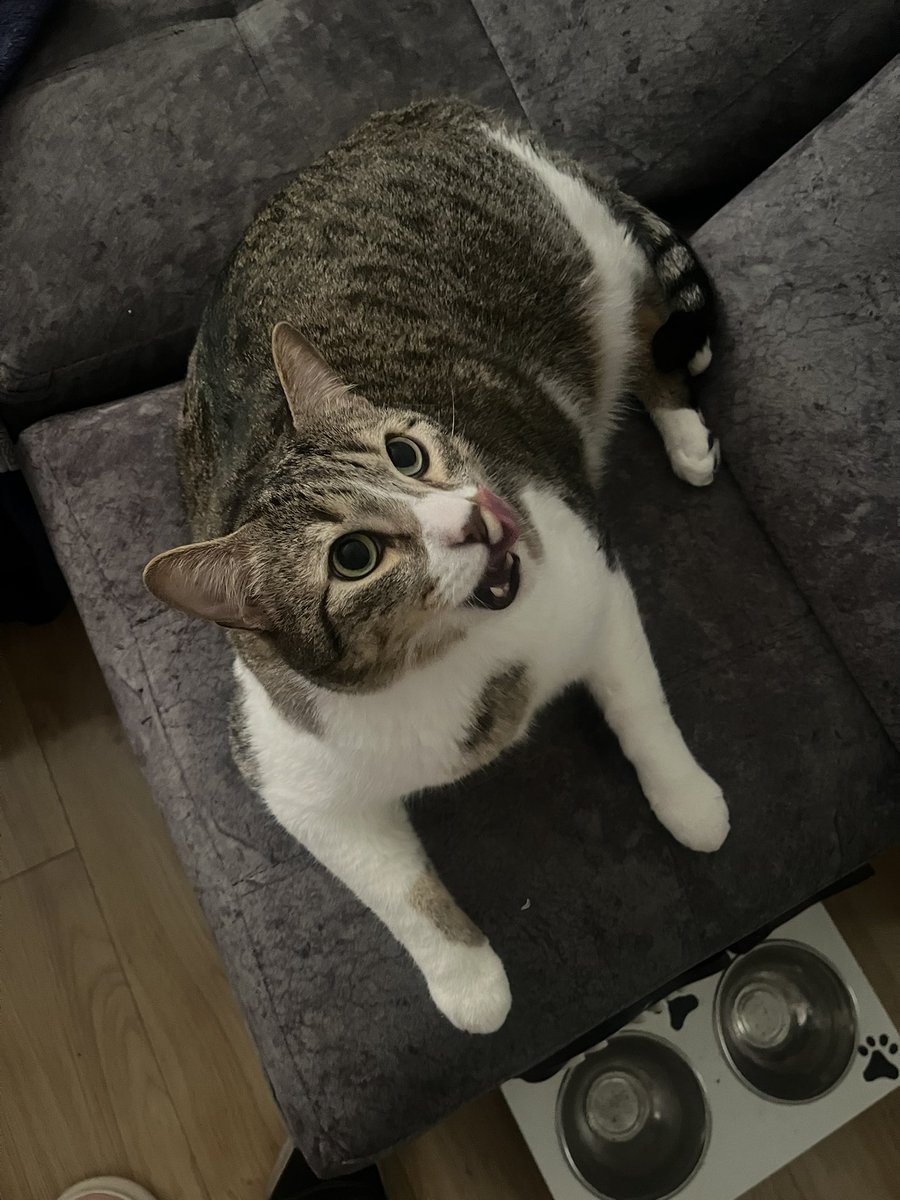 si ok entiendo tweet media