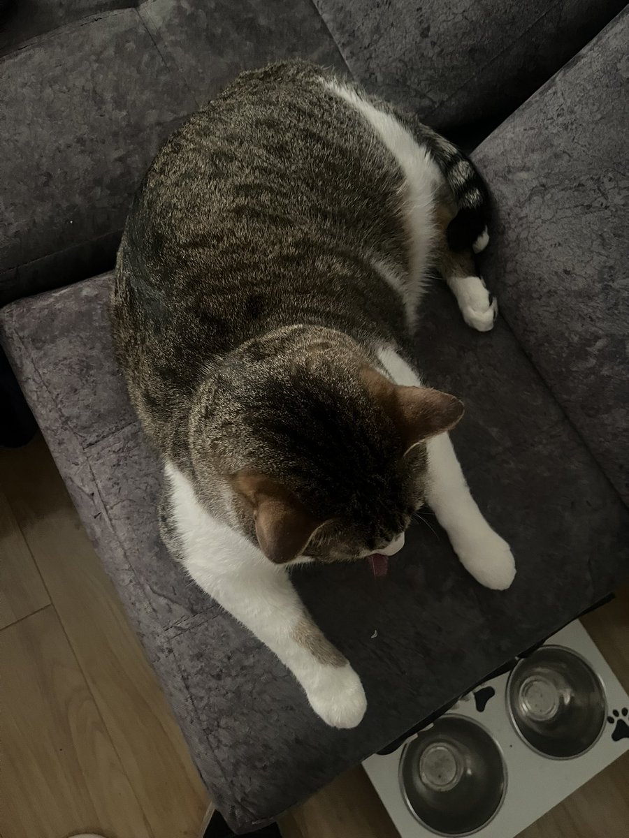 si ok entiendo tweet media