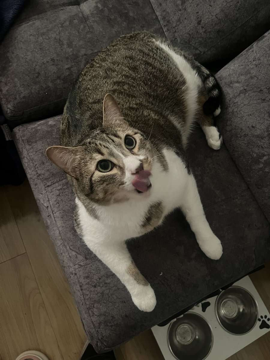 si ok entiendo tweet media