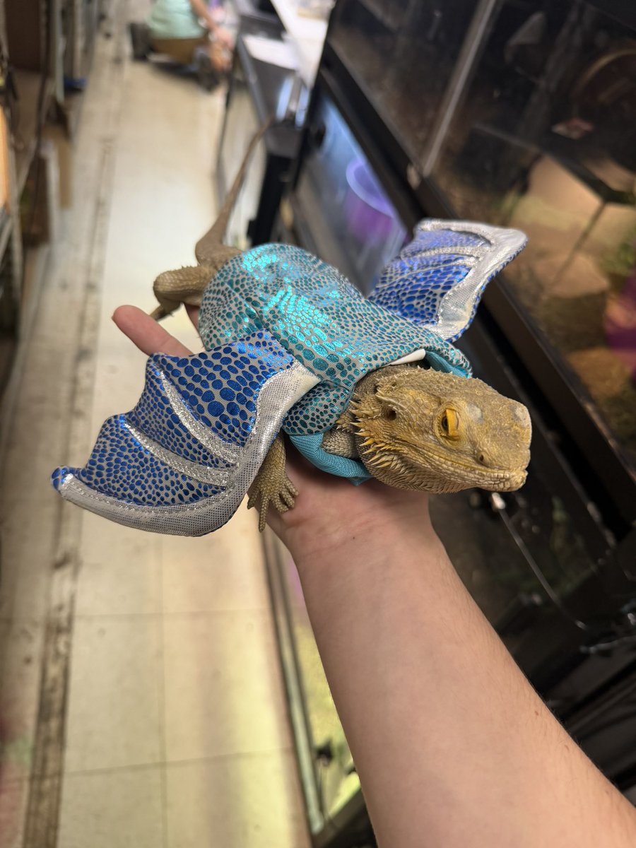 Watrmelonn tweet media