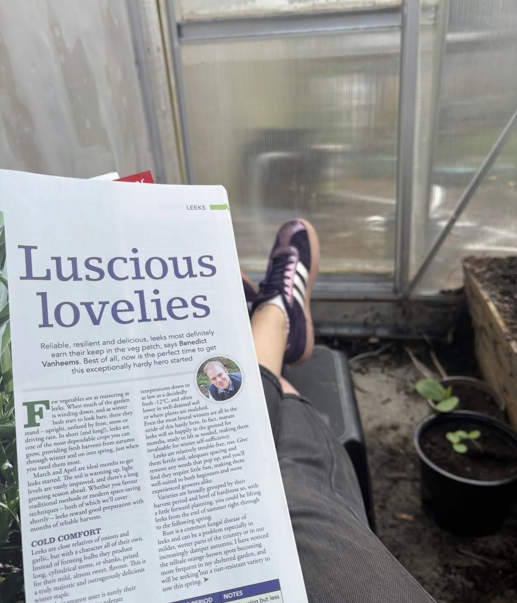 Kitchen Garden tweet media