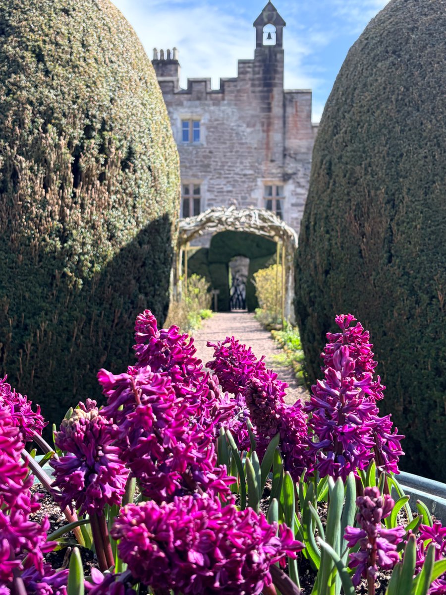 SueSmithDN's tweet photo. Hutton in the Forest - a delightful house and gardens to visit close to Penrith. What a fabulous way to spend a sunny spring day https://t.co/KZqFuSfrqk