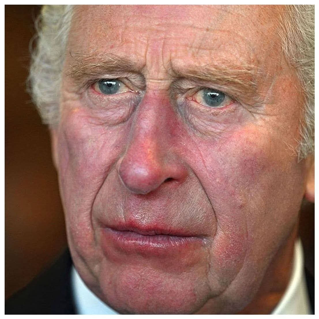 The English Crusader tweet media