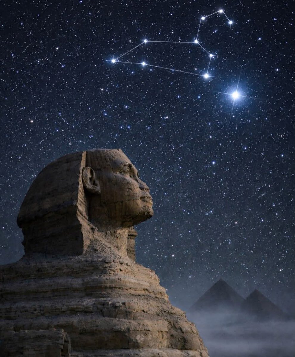 Tom Thompson🛸 (ＣＯＲＴＥＸ ＺＥＲＯ) tweet media