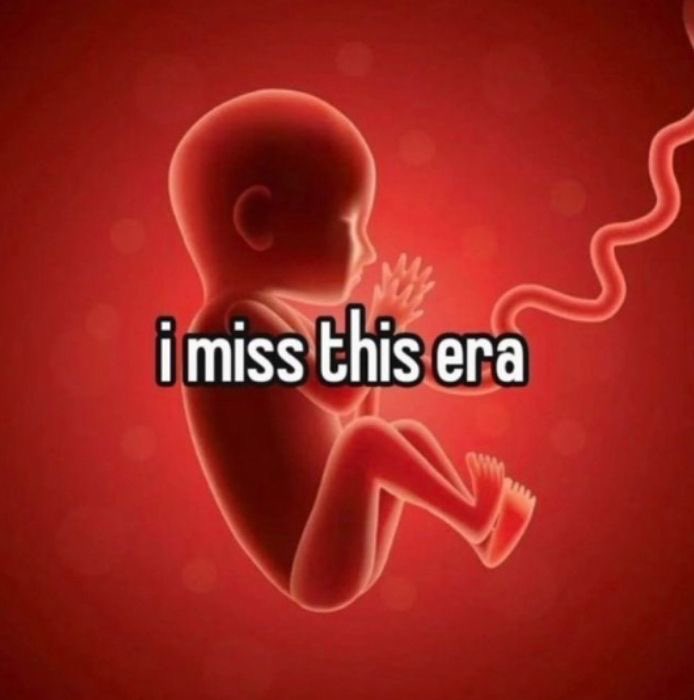 xd , n111sh | eN-7 tweet media