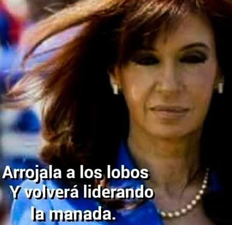 Baixinho tweet media