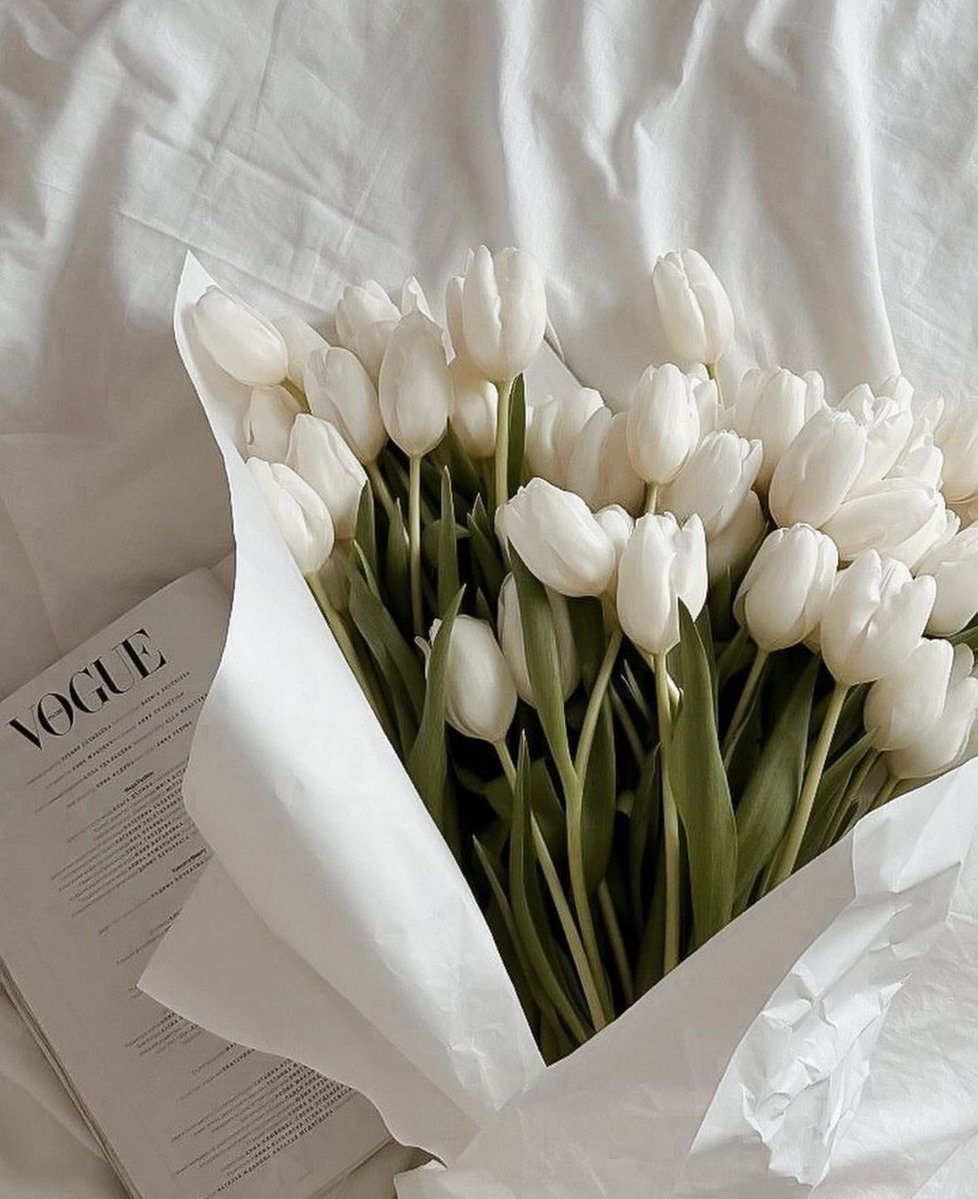 LittlecatST tweet media