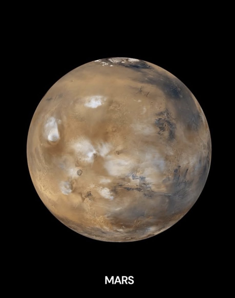 folkative tweet media