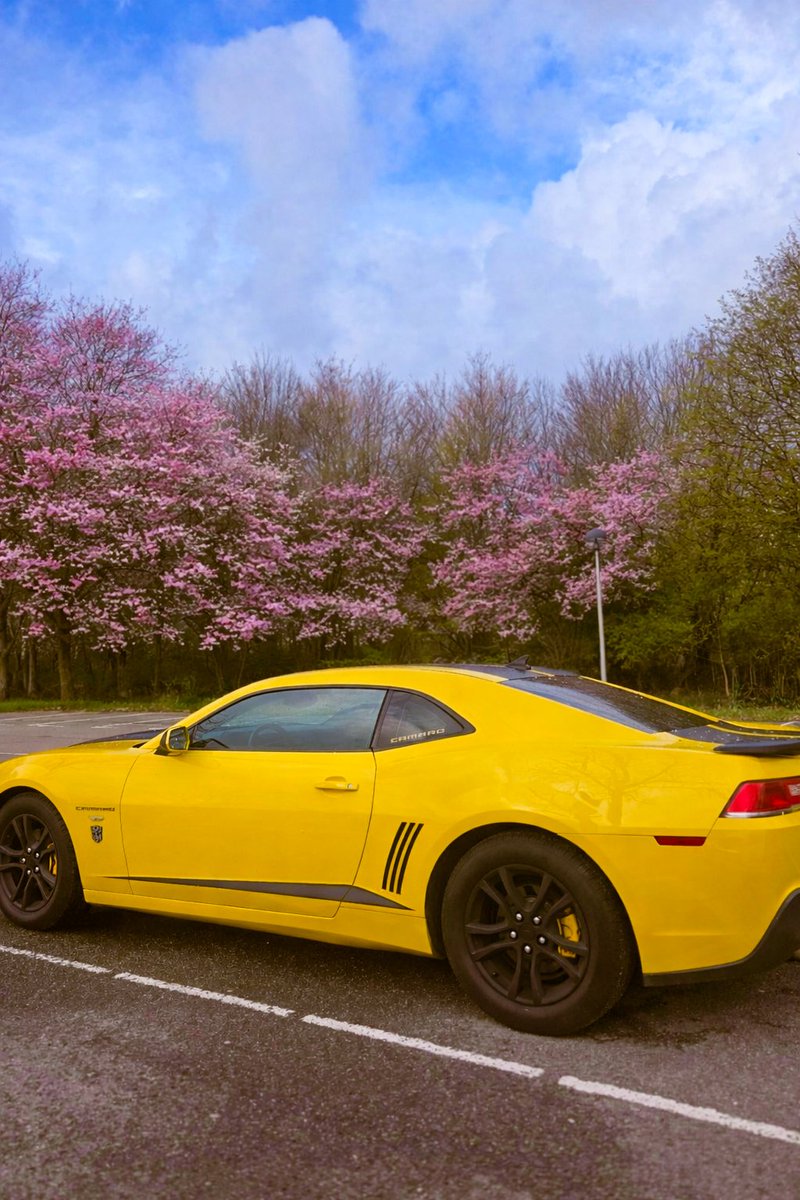 Anastasia Yepançin tweet media