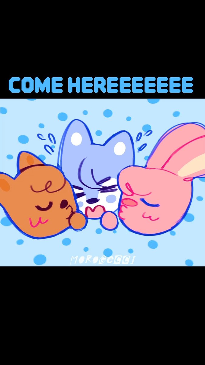 Morogecci ｡⁠*⁠. tweet media