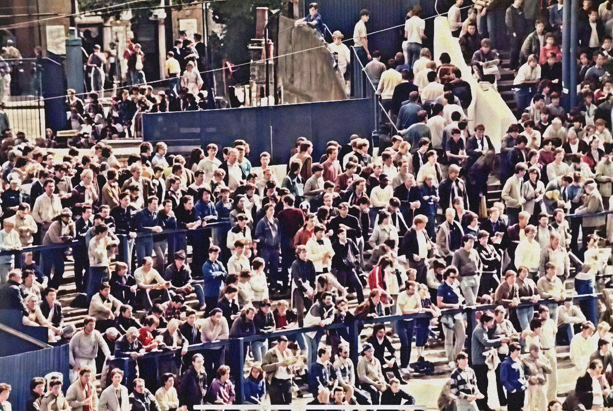 Steve G ⭐️⭐️🇬🇧 tweet media