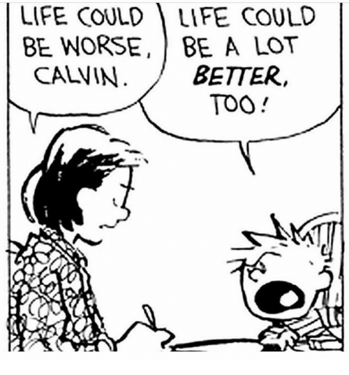 Terminally Online Leftist 🥂 tweet media