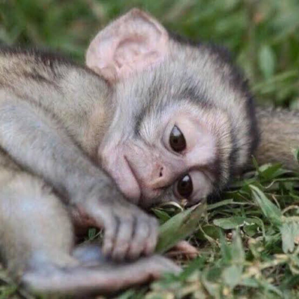 ♥️MANTOMBAZANE♥️ tweet media