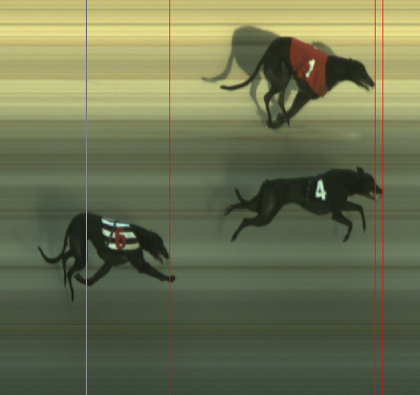 Monmore Racing Office tweet media