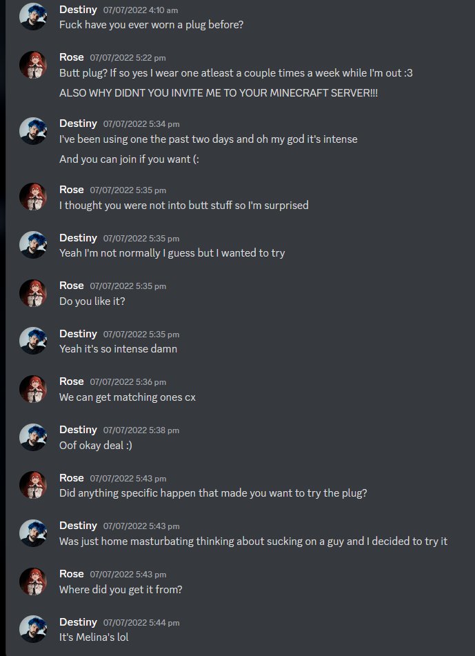 gato fumador tweet media