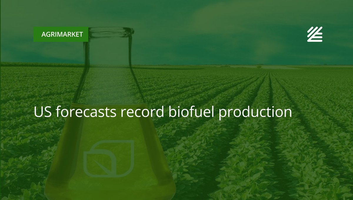UkrAgroConsult's tweet image. 🇺🇸 #US forecasts record #biofuel production

Biofuels are produced from vegetable oils such as soybean and rapeseed oil, as well as animal fats and used cooking oils, and remain a key driver of demand for oilseeds in the US.

More details 👉ukragroconsult.com/?p=312769