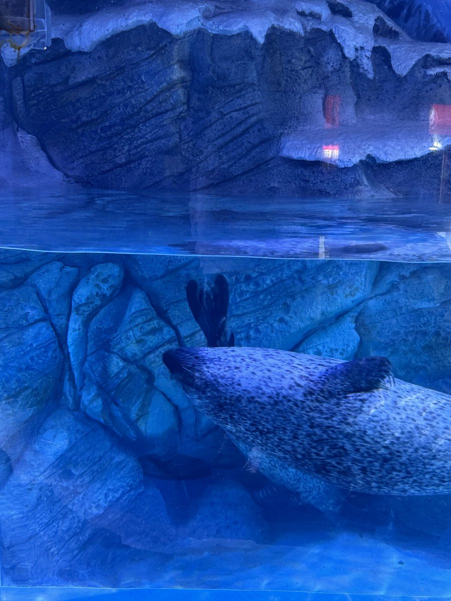 Wwanling tweet media